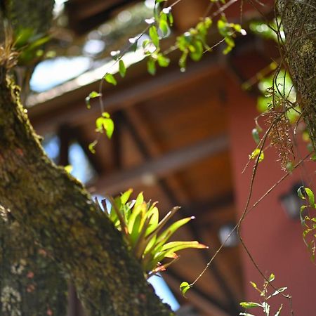 Badenwein Villa Campos do Jordão Екстериор снимка